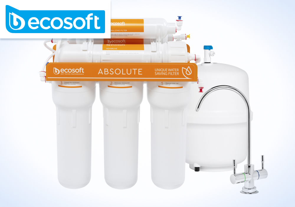 експерти рекомендують Ecosoft