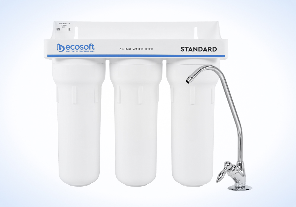 перевірена модель Ecosoft Standard FMV3ECOSTD