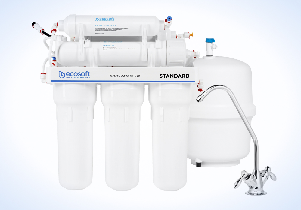 фільтр, вартий уваги Ecosoft Standard MO650MECOSTD з мінералізатором