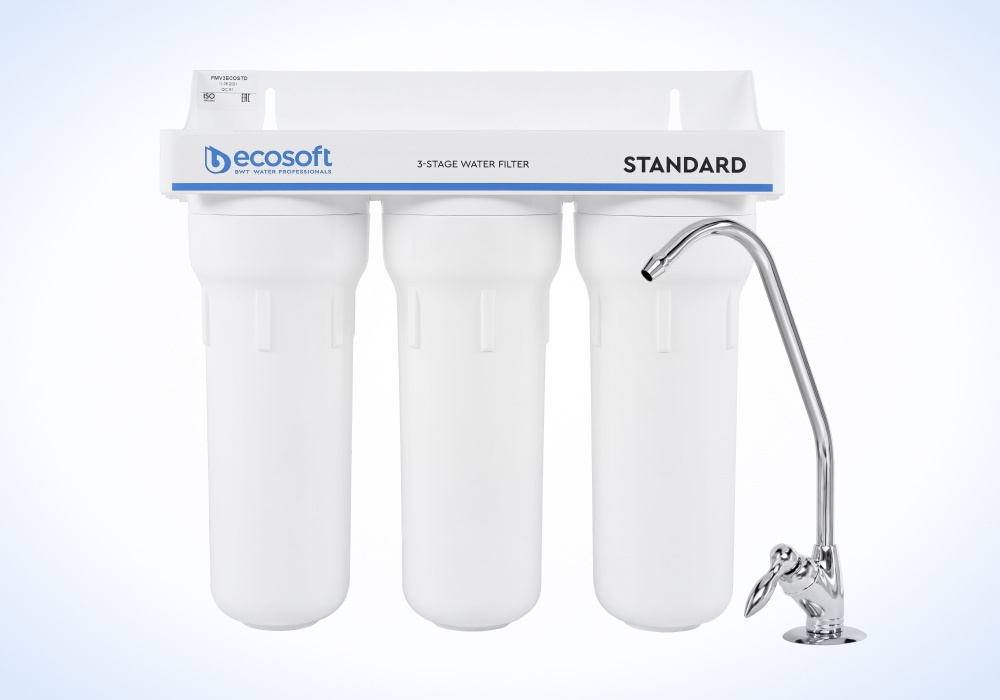 ефективний фільтр для води Ecosoft Standard FMV3ECOSTD